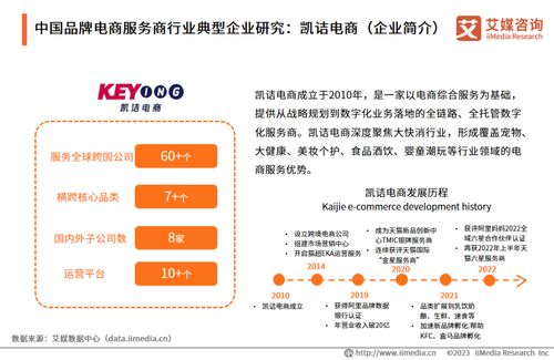 2023年中國品牌電商服務(wù)商行業(yè)研究報(bào)告 洞察趨勢，賦能增長